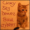  (100x100, 6Kb)