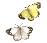  (163x149, 18Kb)