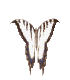 (70x80, 5Kb)