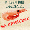  (100x100, 7Kb)
