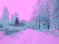  (200x150, 42Kb)