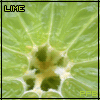  (100x100, 11Kb)
