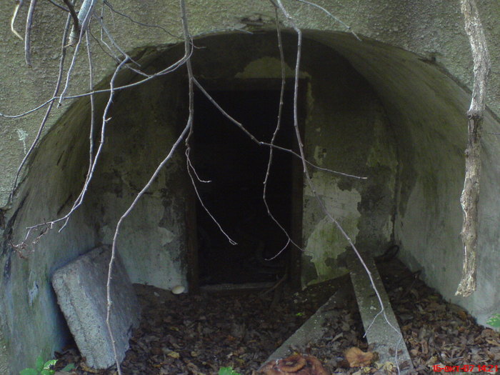 DSC00192 (700x525, 87Kb)