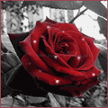  (120x120, 14Kb)