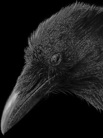  (150x200, 60Kb)