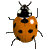 bj-top (50x50, 1Kb)