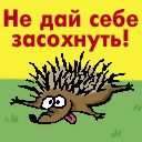  (128x128, 6Kb)