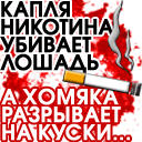  (128x128, 8Kb)