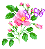  (65x71, 13Kb)