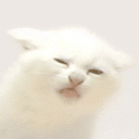  (128x128, 26Kb)