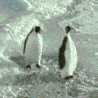  (98x98, 48Kb)