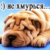 30922_prev_98 (98x98, 9Kb)