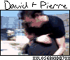  (100x86, 36Kb)