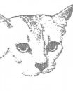  (104x130, 3Kb)