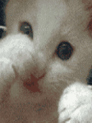  (132x176, 82Kb)