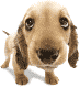  (73x80, 19Kb)