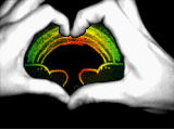  (160x120, 120Kb)