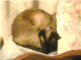  (160x120, 3Kb)