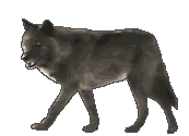 loup0ak-web (173x125, 58Kb)