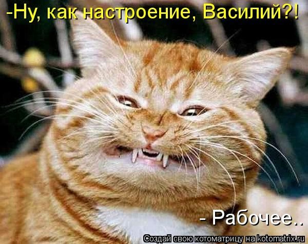 поэты женщины