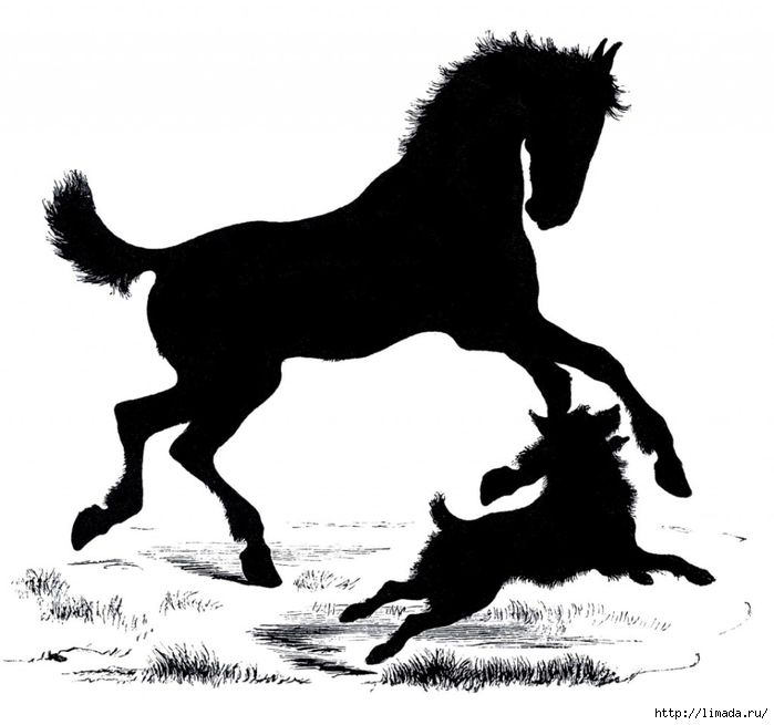 Horse-Dog-Silhouette-Images-GraphicsFairy-1024x959 (700x655, 152Kb)