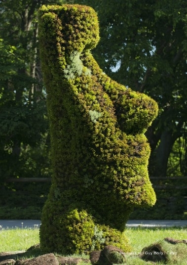 Зелёные скульптуры на шоу в Канаде (Green-fingered sculptures go on show in Canada)