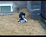 4208855_378339 (150x120, 5Kb)
