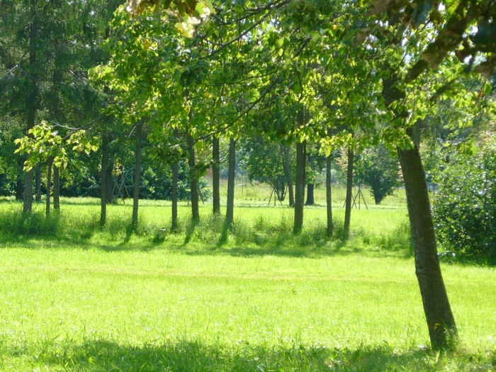 4867606_P1090923 (700x525, 380Kb)