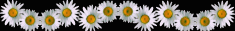 50691199_bar2 (235x31, 3Kb)