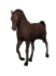 black_horse (52x70, 15Kb)