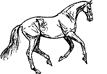 Horse07 (107x74, 8Kb)