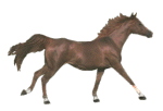 Horse13 (150x102, 25Kb)
