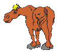 Horse15 (130x102, 11Kb)