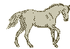 Horse19 (100x70, 4Kb)