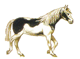 Horse28 (160x118, 30Kb)