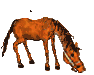 Horse30 (94x75, 14Kb)