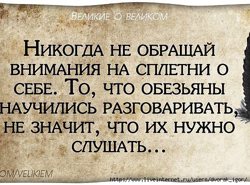 Статусы про слуха за спиной Статусы про слуха за спиной