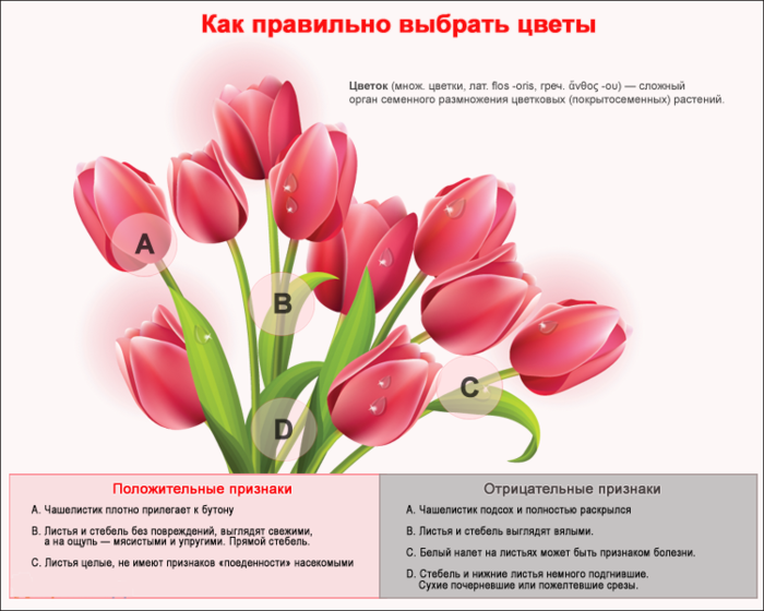 Как выбрать цветы