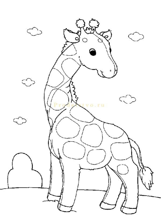 giraffe8 (525x700, 106Kb)