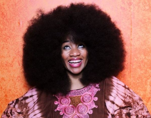 afro_hair_record_03 (600x469, 135Kb)