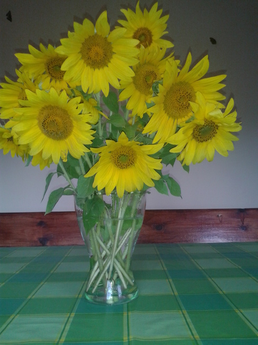 20130730_120811 (525x700, 131Kb)