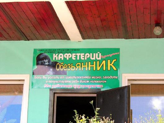 3821971_obezyannik (530x398, 39Kb)