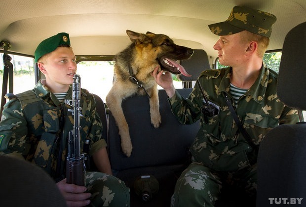 Фотографии о том, как щенки становятся защитниками границы