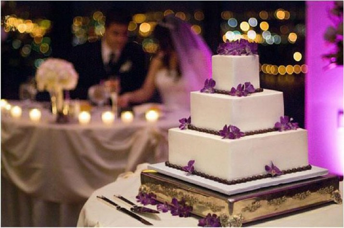 tort (700x465, 309Kb)