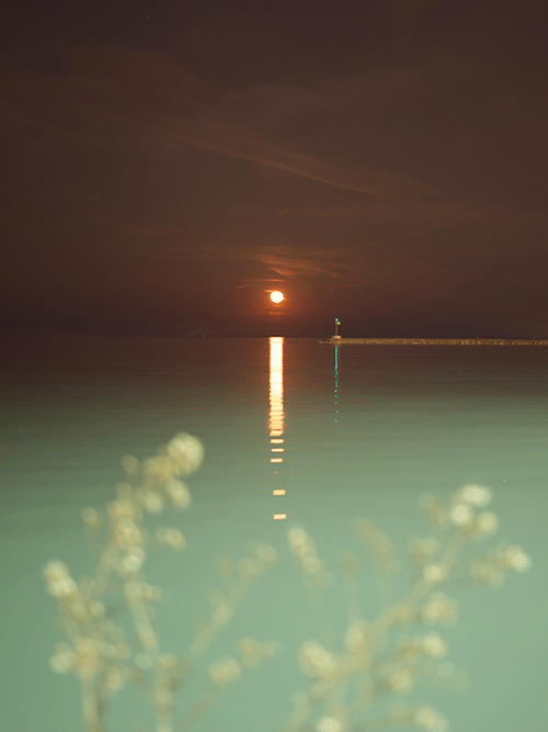 tumblr_mn33wzmbDW1qir0djo1_500 (500x667, 641Kb)