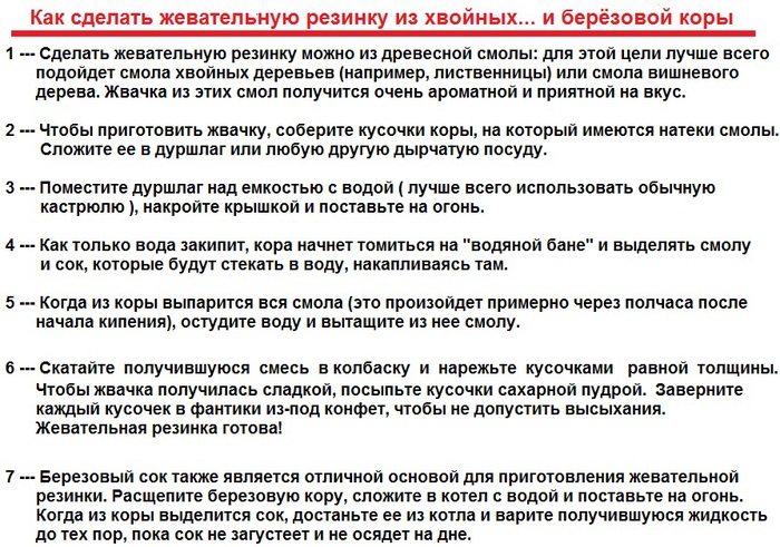 Как сделать жвачку из берёзовой коры Как сделать жвачку из берёзовой коры