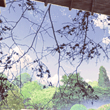 1 (160x160, 275Kb)