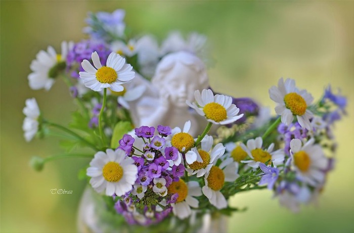 still_life_in_flowers_01 (700x461, 70Kb)