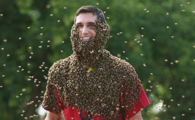 Cоревнования по пчелиной 'бороде'