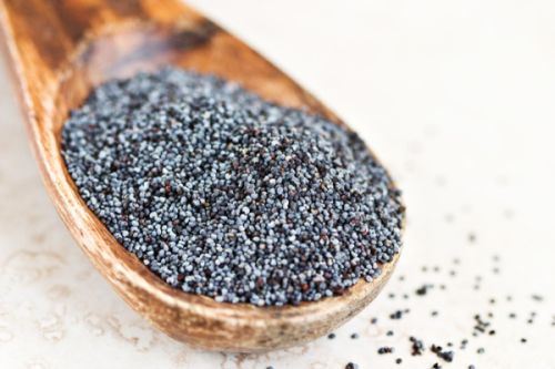 poppy_seeds (500x333, 30Kb)